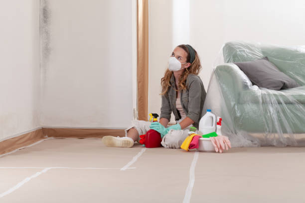 Reliable Mold Remediation contractor in Ocoee, FL by WQB Mold Removal